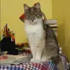 Отзыв от Василиса Золотова